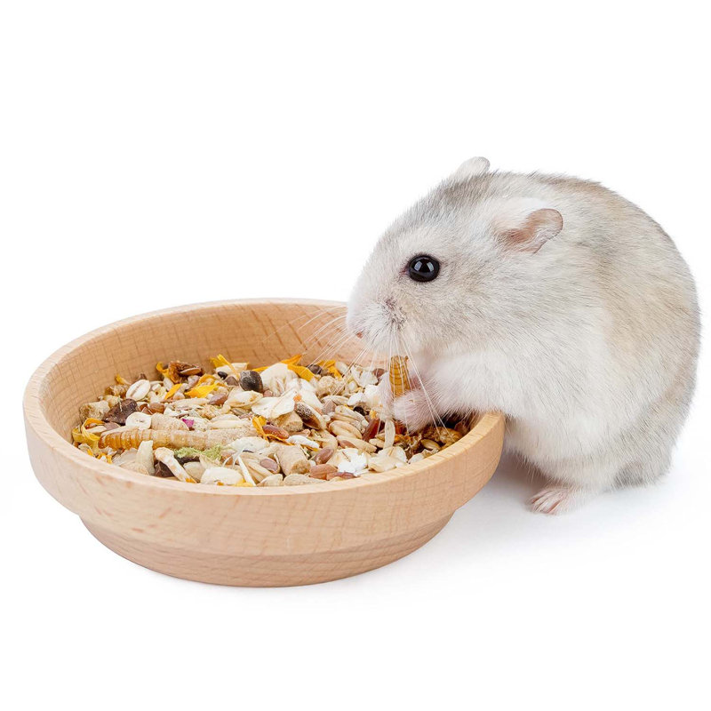 Tucker Murphy Pet™ Chasidi | Wayfair